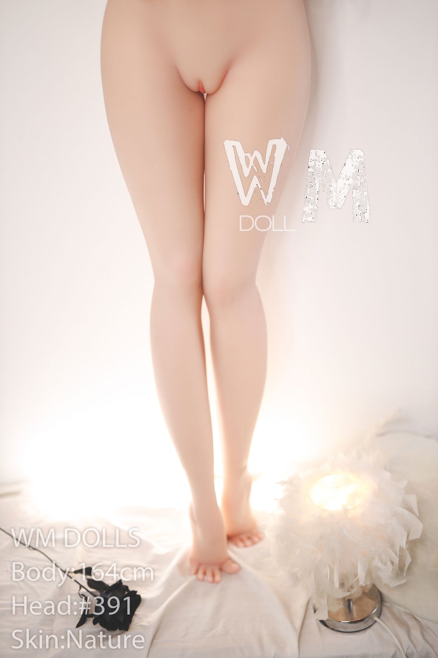 Yang: 164cm, D-Cup, WM Sex Doll, Brunette Asian Teen, Head #391 Anmodolls