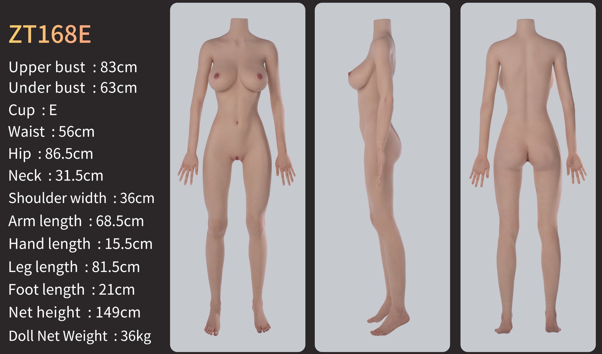 Image of zelex-hybrid-168cm-jamie, a high-quality and realistic sex doll by Anmodolls Zelex