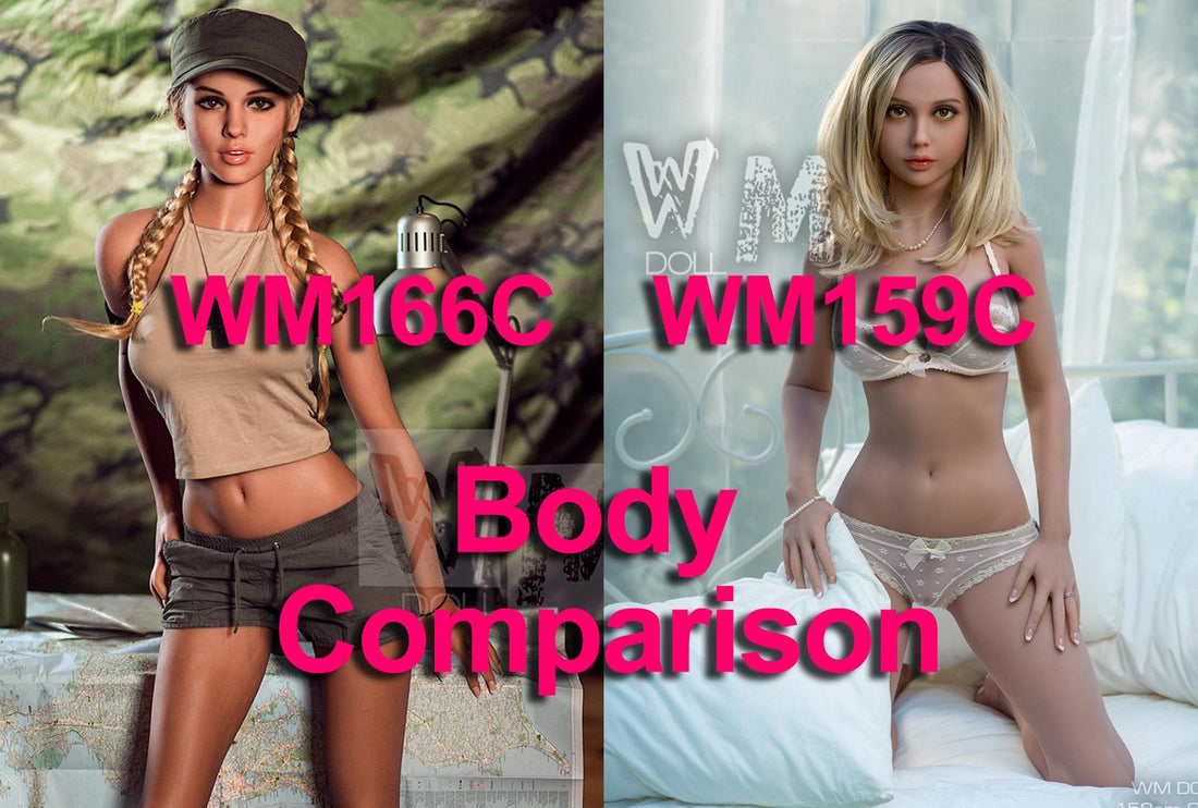 WM166C & WM159C   Body Comparison Chart by Anmodolls