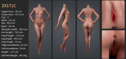Image of zelex-171cm-c-head-zxe214_1-usa-canada-stock, a high-quality and realistic sex doll by Anmodolls Zelex