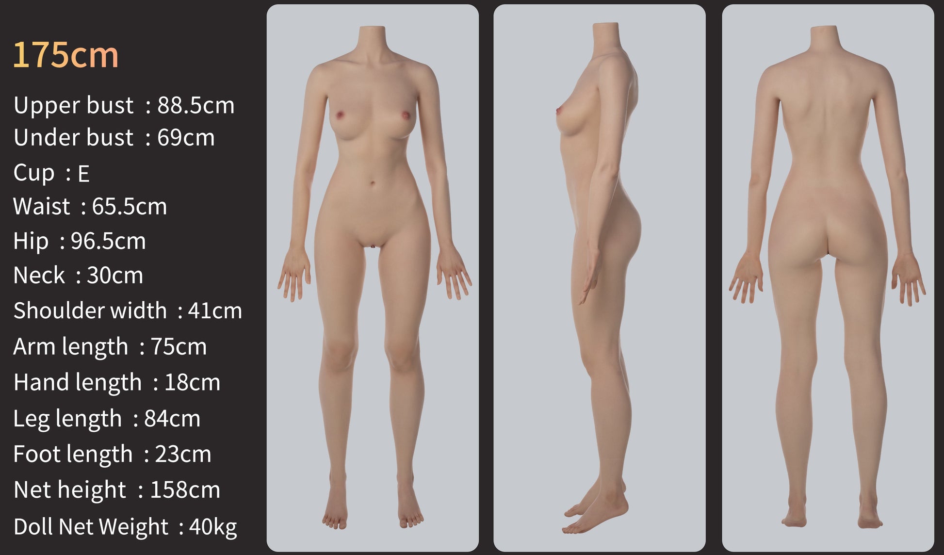 Image of zelex-inspiration-175cm-amy, a high-quality and realistic sex doll by Anmodolls Zelex