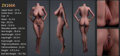 Image of zelex-zx166k-head-zxe203_2, a high-quality and realistic sex doll by Anmodolls Zelex