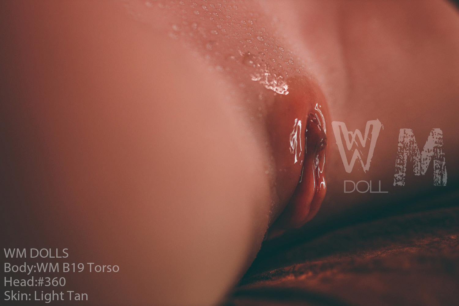WM DOLLS - TORSO - B19 +#360 by Anmodolls
