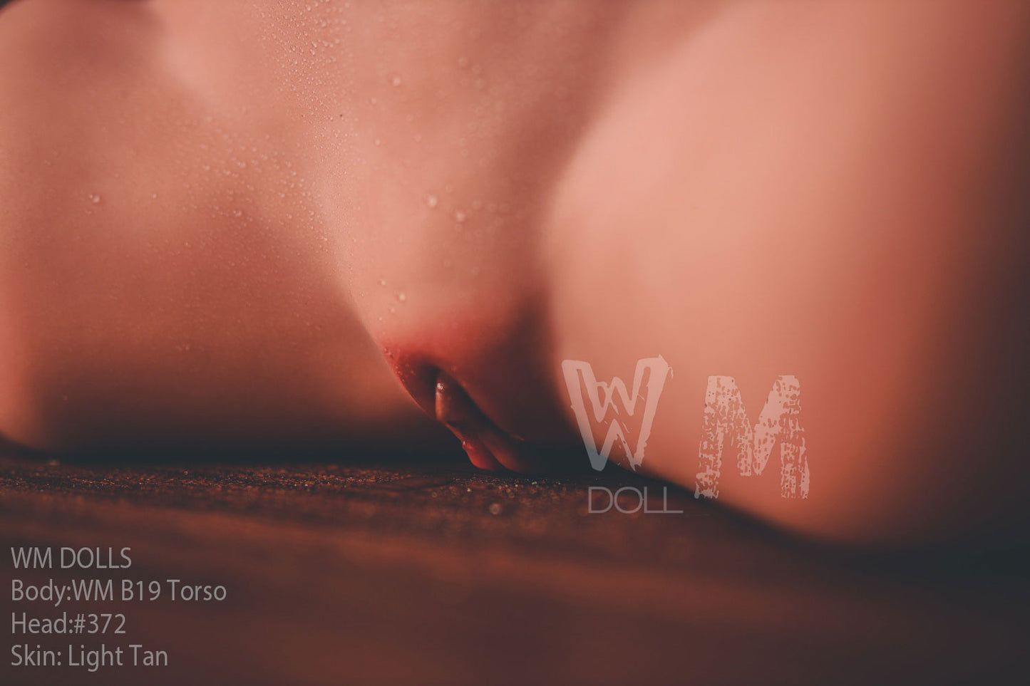 WM DOLLS - TORSO - B19 +#372 by Anmodolls